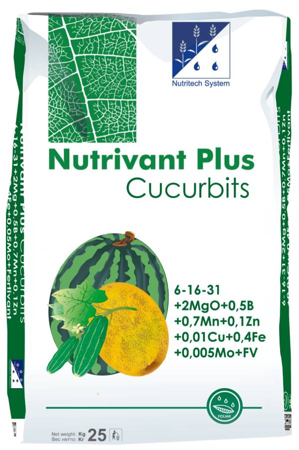 cucurbits