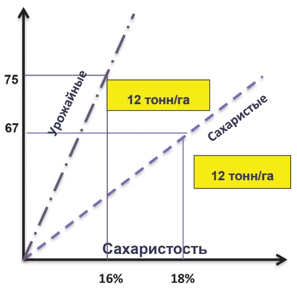 grafik