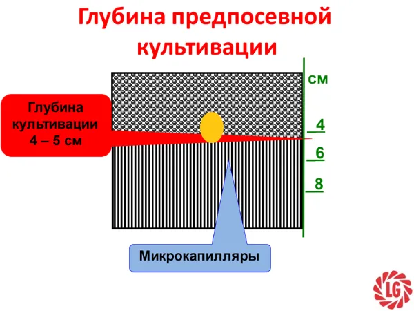 glubina