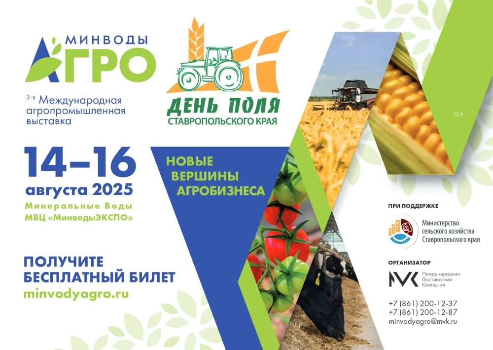 den polya stavropol