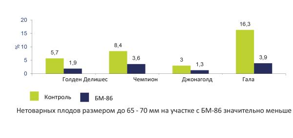 mart06