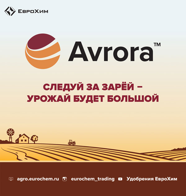 avrora