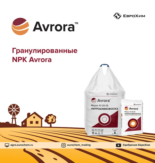 npk avrora